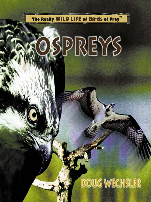 Title details for Ospreys by Doug Wechsler - Available